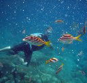 Imagine Cruises - Tweed Heads Accommodation