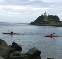 Newcastle Kayak Tours - Tweed Heads Accommodation