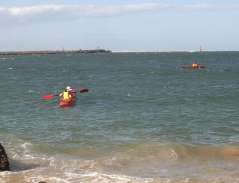 Newcastle Kayak Tours - Tweed Heads Accommodation 1