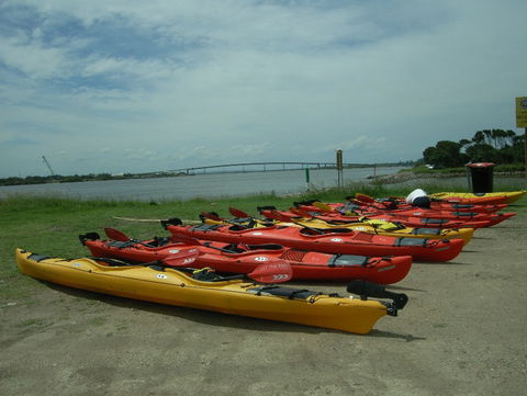 Newcastle Kayak Tours - Tweed Heads Accommodation 2