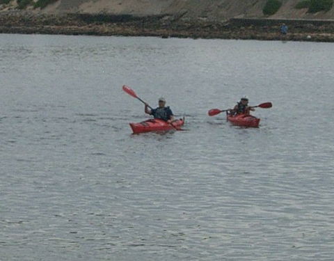 Newcastle Kayak Tours - Tweed Heads Accommodation 4