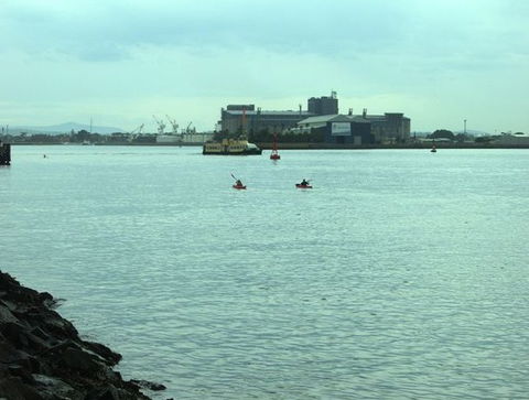 Newcastle Kayak Tours - Tweed Heads Accommodation 5