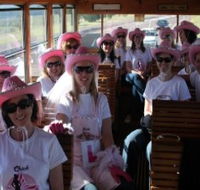 Newcastles Famous Tram - Tweed Heads Accommodation
