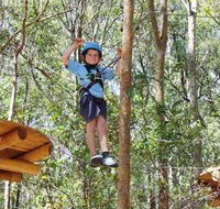 TreeTops Newcastle - Tweed Heads Accommodation