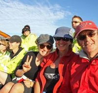 Byron Bay Whale Watching - Tweed Heads Accommodation