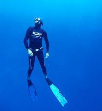 Byron Bay Dive Centre - Tweed Heads Accommodation 1