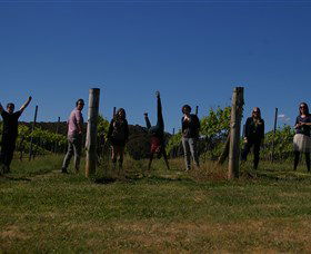 Grape Escape - Tweed Heads Accommodation 3