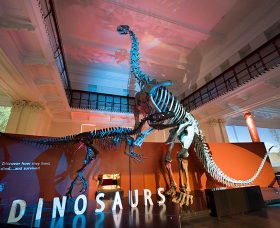 Australian Museum - Tweed Heads Accommodation 0