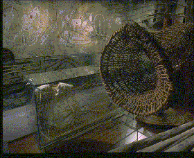 Australian Museum - Tweed Heads Accommodation 3