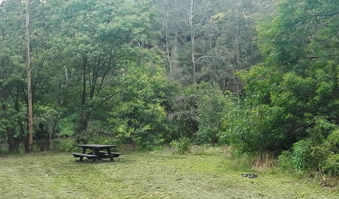 Halfway Point Picnic Area - Tweed Heads Accommodation 0