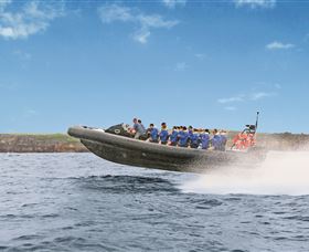 Manly Ocean Adventures - Tweed Heads Accommodation 2