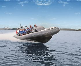 Manly Ocean Adventures - Tweed Heads Accommodation 1