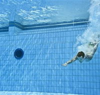 Dive Into History at Sydney Olympic Park Aquatic Centre - Tweed Heads Accommodation