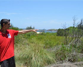 Kadoo Tours - Tweed Heads Accommodation 0