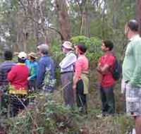 Boronia Tours - Tweed Heads Accommodation