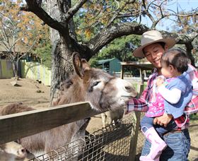 Golden Ridge Animal Farm - Tweed Heads Accommodation 1