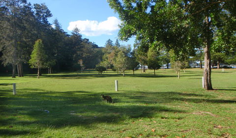 The Basin Picnic Area - Tweed Heads Accommodation 1