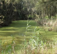 Second Ponds Creek walk - Tweed Heads Accommodation