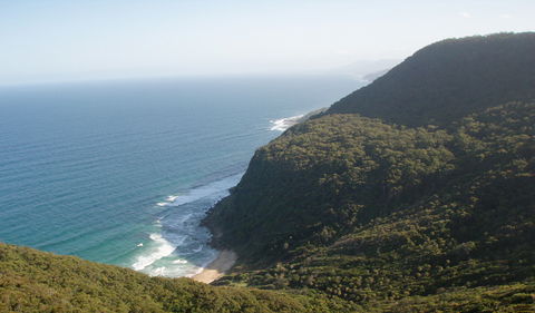 Palm Jungle Loop Track - Tweed Heads Accommodation 1