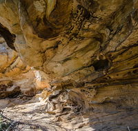 Marramarra National Park - Tweed Heads Accommodation