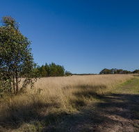 Scheyville horse riding trails - Tweed Heads Accommodation