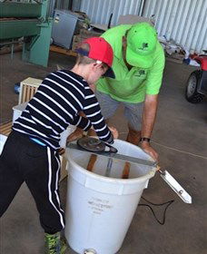 Canoelands Orchard - Tweed Heads Accommodation 2