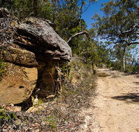 Canoelands Ridge walking track - Tweed Heads Accommodation