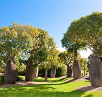 Mt Penang Gardens - Tweed Heads Accommodation