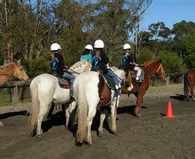 Darkes Forest Riding Ranch - Tweed Heads Accommodation 0