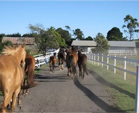 Darkes Forest Riding Ranch - Tweed Heads Accommodation 1