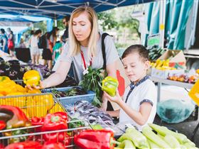 Adelaide Farmers' Market Showground - Tweed Heads Accommodation 0