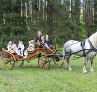Classic Carriage Drives - Tweed Heads Accommodation