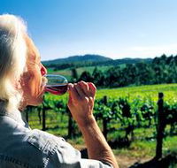 Ashton Hills Vineyard - Tweed Heads Accommodation