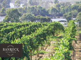 Banrock Station Wine And Wetland Centre - Tweed Heads Accommodation 0