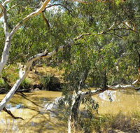 Quilberry Creek Fishing - Tweed Heads Accommodation