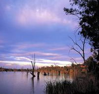 Loch Luna Game Reserve and Moorook Game Reserve - Tweed Heads Accommodation