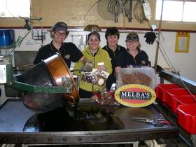 Melba's Chocolate And Confectionery Factory - Tweed Heads Accommodation 1