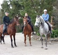 Academy of Dressage - Tweed Heads Accommodation