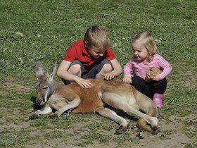 Hahndorf Farm Barn - Tweed Heads Accommodation 3