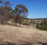 Onkaparinga River National Park - Tweed Heads Accommodation