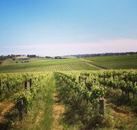 Adelaide Winemakers - Tweed Heads Accommodation
