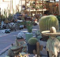 Cactus Creations - Tweed Heads Accommodation