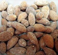 Almondco Almond Hut - Tweed Heads Accommodation