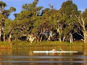 Martin Bend Reserve - Tweed Heads Accommodation 0