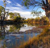 Murray River National Park - Tweed Heads Accommodation