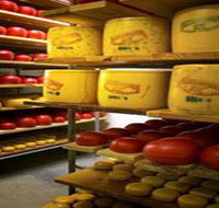 Alexandrina Cheese Company - Tweed Heads Accommodation