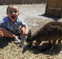 Animal Farm Goolwa - Tweed Heads Accommodation