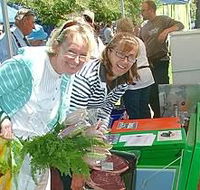 Victor Harbor Farmers Market - Tweed Heads Accommodation