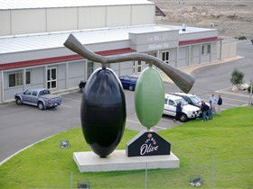 The Big Olive - Tweed Heads Accommodation 0