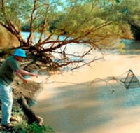 Charleville - Ward River Fishing Spot - Tweed Heads Accommodation